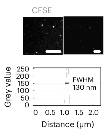 Open access visualization of Line Plot, Microscopy, Super-resolution dSTORM, CFSE-labelled Exosomes, C2C12