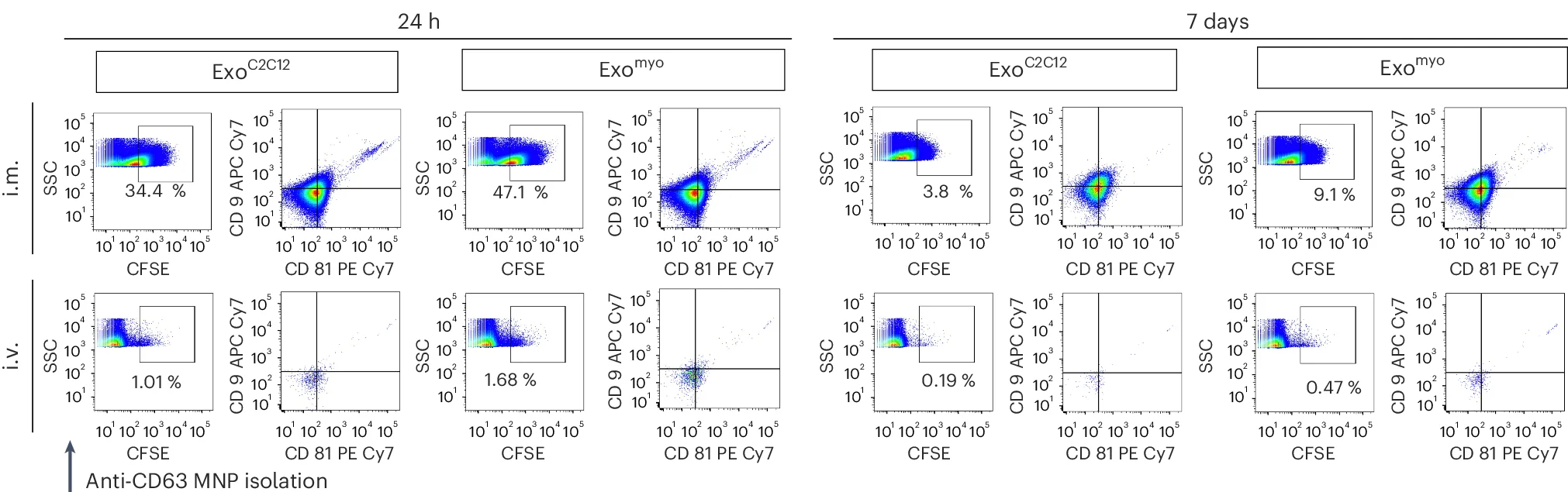 Open access visualization of Scatter Plot, Exosomes, Muscle Tissues, FACS, Exo C2C12