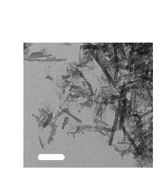 Open access visualization of Microscopy, TEM, Nanotubes