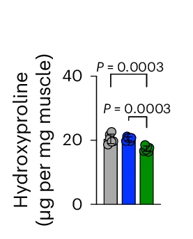 Open access visualization of Bar Plot, Scatter Plot, Error Bars, Fibrosis, Hydroxyproline Assay