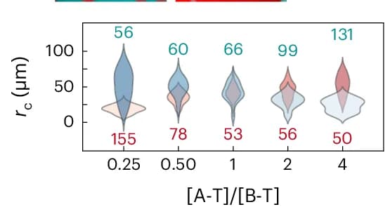 Open access visualization of Violin Plot, Distribution, Condensates, Template Concentration, Epifluorescence Micrographs
