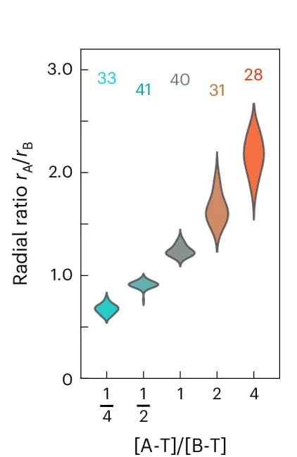 Open access visualization of Violin Plot, MLOs, Radii Ratio