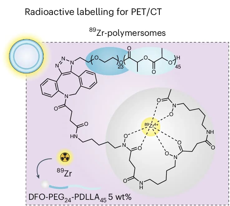 Open access visualization of Chemical Structure, Polymersome Radiolabelling, Schematic Representation, DFO-Functionalized Polymersomes, Radioactive 89 Zr