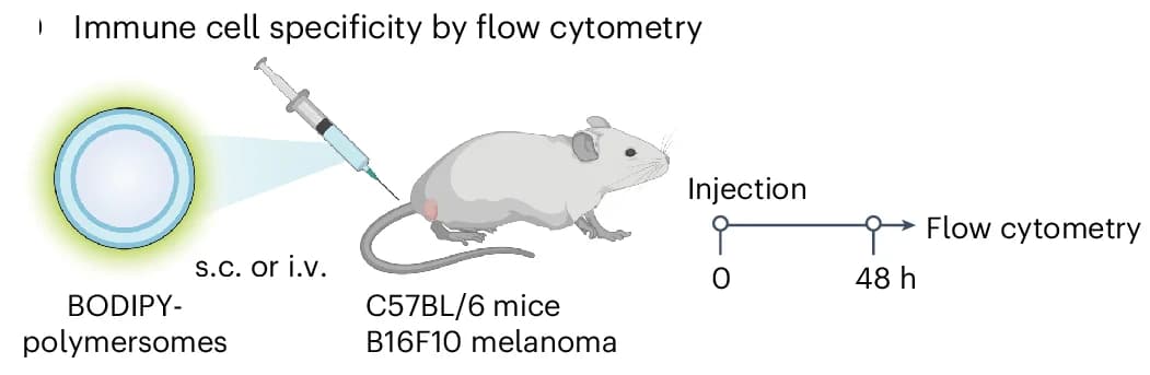 Open access visualization of Workflow, Illustration, Flow Cytometry, Immune Cell, Specificity