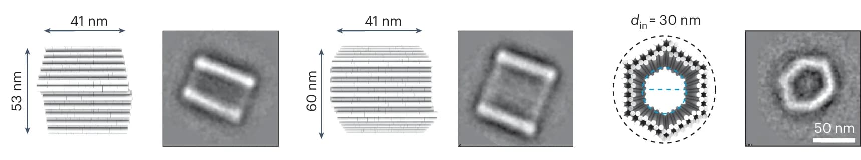 Open access visualization of Microscopy, NE Compartment, Molecular Models, TEM
