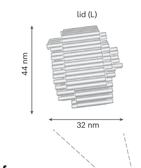 Open access visualization of 3D Plot, NE Compartment, Lid, Modification