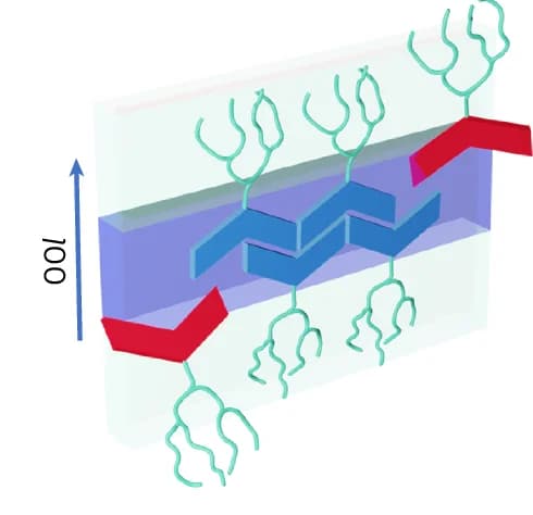 Open access visualization of Chemical Structure, Crystal Packing, Anisotropic Etching, Crystal Interface, VsA Monomers