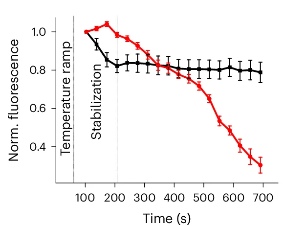 Open access visualization of Line Plot, Error Bars, Normalized Fluorescence Intensity, Micrographs, ROI