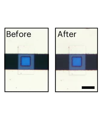 Open access visualization of Microscopy, Appearance, Switching, Color Difference