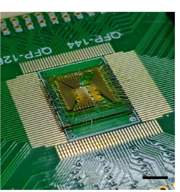Open access visualization of Photo, Structural Colour Matrix, Photograph, Prototype