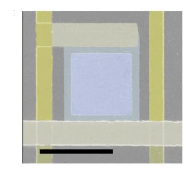 Open access visualization of Microscopy, False-Colour Scanning Electron Microscope, Structural Colour Pixels