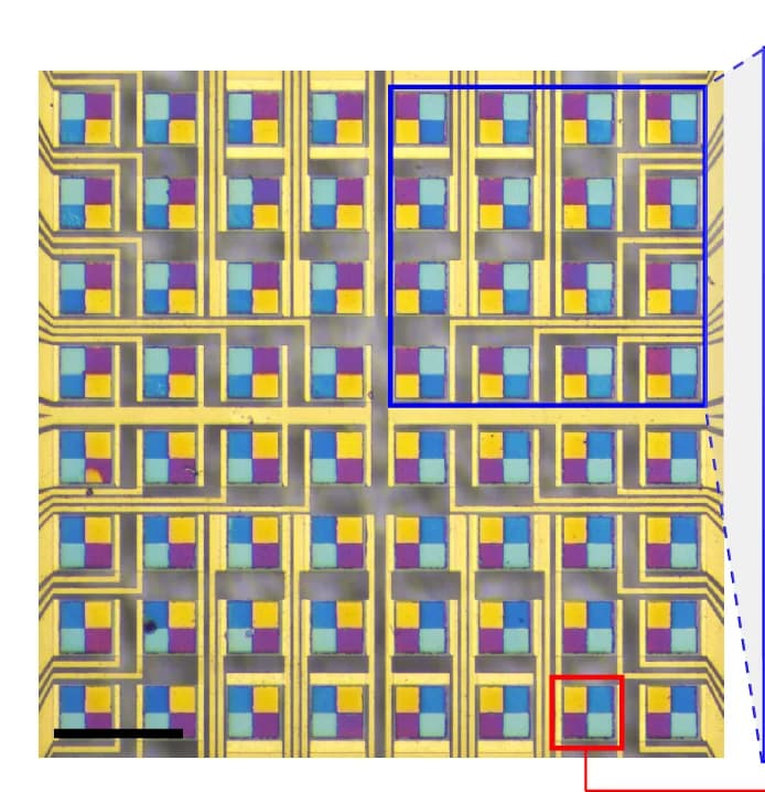 Open access visualization of Microscopy, Tetrachromatic Filter, Spectrum Detection, Optical Image, Filter Matrix