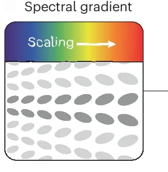Open access visualization of Illustration, Metasurface, Unit Cells, Resonators