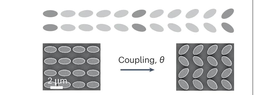 Open access visualization of Microscopy, Illustration, Coupling Gradient, Excitation Polarization, SEM Images