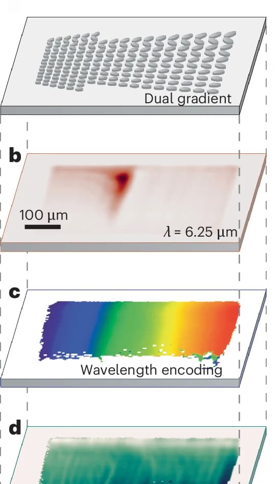 Open access visualization of Illustration, Microscopy, Dual-Gradient Metasurface, Spectral Gradient, Coupling Gradient