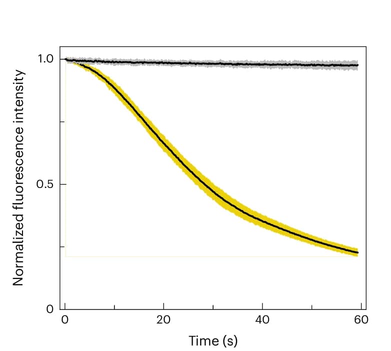 Open access visualization of Line Plot, Error Bars, Time-Lapse Imaging, Confocal Imaging, Wnt-Surrogate
