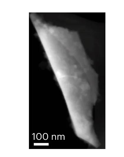 Open access visualization of Microscopy, HAADF Image, L07M65-D