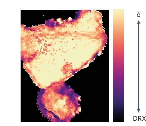 Open access visualization of Heatmap, Spatial Distribution, Phase