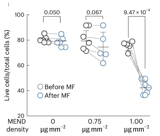 Open access visualization of Scatter Plot, Error Bars, Live Cell Ratio, Live-Dead Assay, Neurons