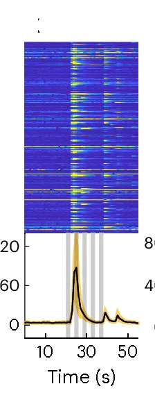 Open access visualization of Heatmap, Line Plot, Error Bars, GCaMP6s Fluorescence, MF Epochs