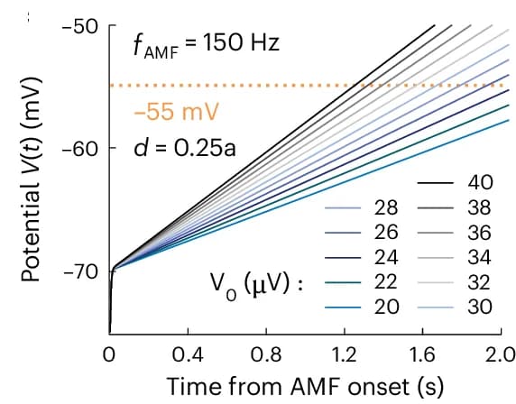 Open access visualization of Line Plot, Simulated Membrane Potential, Time, AMF Onset, Voltage