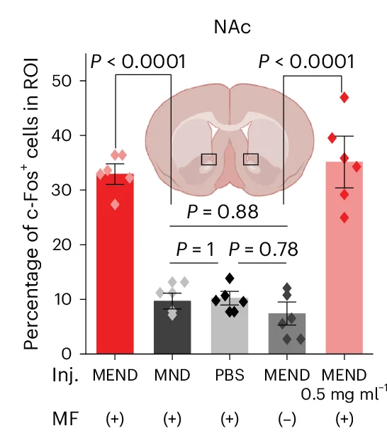 Open access visualization of Bar Plot, Error Bars, Confocal Images, Quantification, c-Fos-expressing Neurons