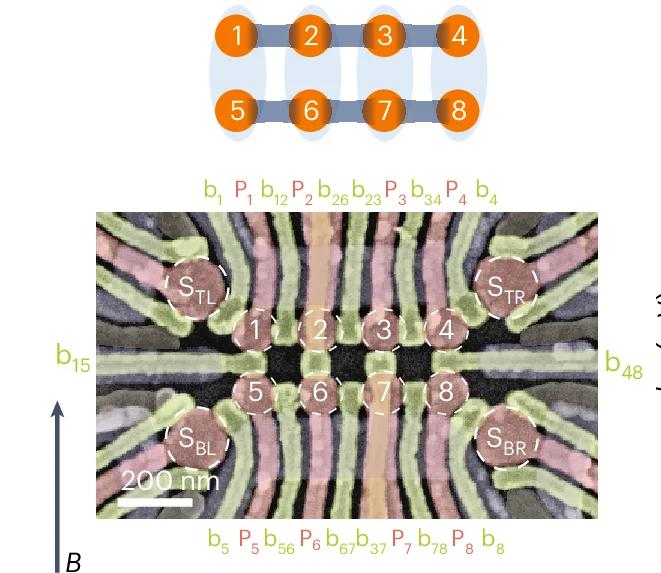 Open access visualization of Microscopy, Scanning Electron Microscope, Quantum Dots, Charge Sensors, Plunger Gates