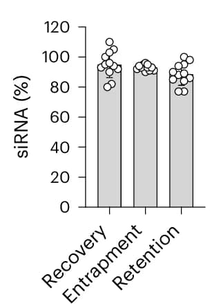 Open access visualization of Bar Plot, Error Bars, siRNA, Recovery, Entrapment