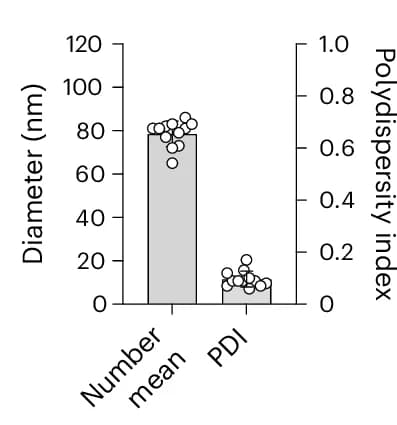 Open access visualization of Bar Plot, Scatter Plot, Hydrodynamic Diameter, Number Mean Average, Dispersity