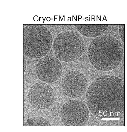 Open access visualization of Microscopy, Cryo-EM