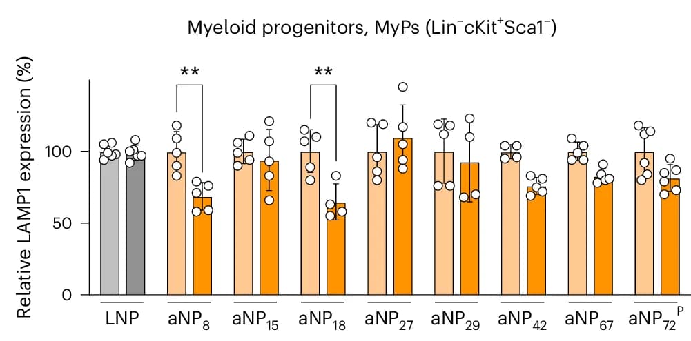 Open access visualization of Bar Plot, Error Bars, Clustered, Scatter Plot, Relative LAMP1 Levels