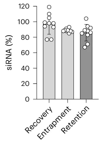 Open access visualization of Bar Plot, Error Bars, Scatter Plot, siRNA, Recovery