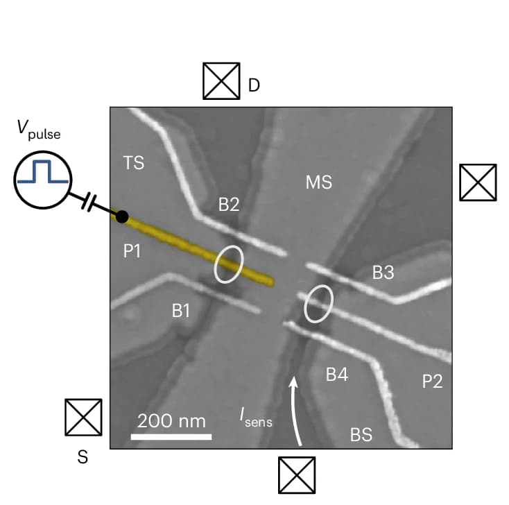 Open access visualization of Microscopy, Scanning Electron Microscopy, Metallic Gates, Barrier Gates, Plunger Gates
