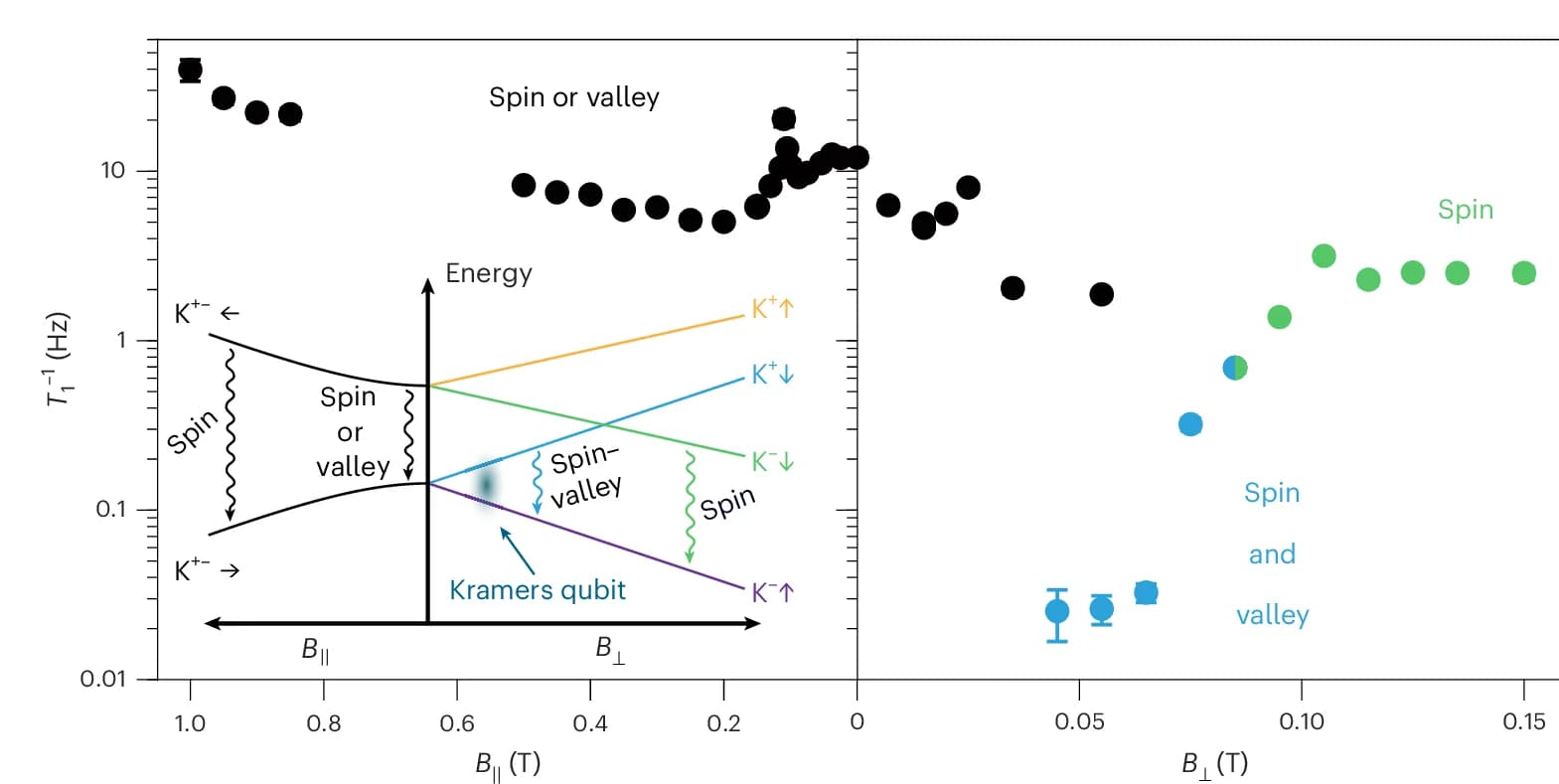 Open access visualization of Scatter Plot, Line Plot, Error Bars, Inverse Relaxation Time, Magnetic Field
