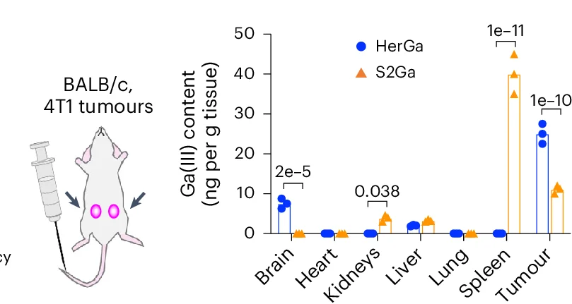 Open access visualization of Bar Plot, Scatter Plot, Gallium(III)-metallated corrole, S2Ga, ICP-MS