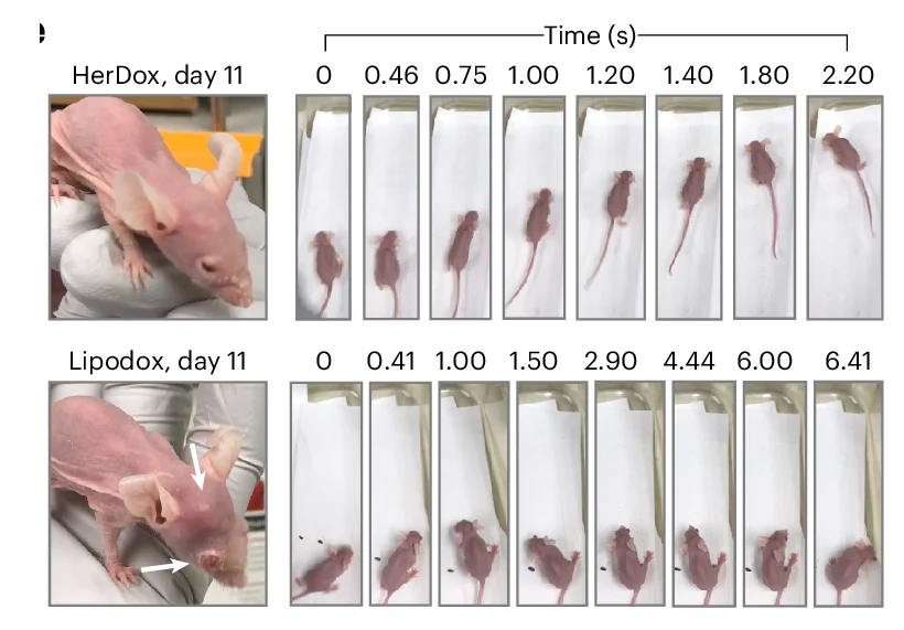 Open access visualization of Photo, Health, Mobility, Mice, HerDox