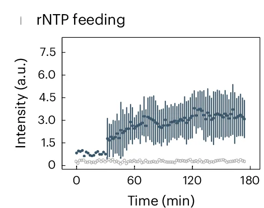 Open access visualization of Line Plot, Error Bars, RNA Origami, Transcription, GUV