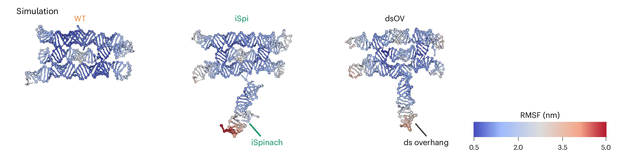Open access visualization of Protein Structure, Chemical Structure, oxRNA, MD Simulations, WT