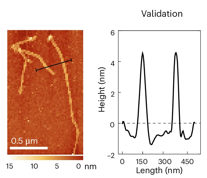 Open access visualization of Line Plot, Microscopy, oxRNA, MD Simulation, 300-tile Assembly