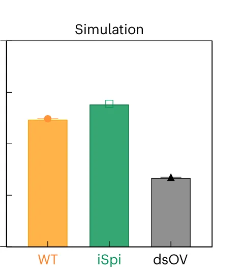 Open access visualization of Bar Plot, Error Bars, Persistence Length, RNA Origami, Nanotubes