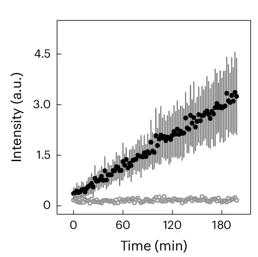Open access visualization of Line Plot, Error Bars, RNA Nanotube Transcription, Giant Unilamellar Vesicles, rNTPs
