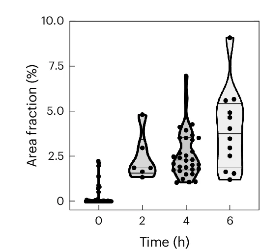 Open access visualization of Violin Plot, Scatter Plot, RNA Origami Nanotubes, Area Fraction, Giant Unilamellar Vesicles