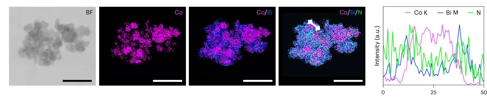 Open access visualization of Microscopy, Line Plot, STEM, Bright-Field Images, EDX