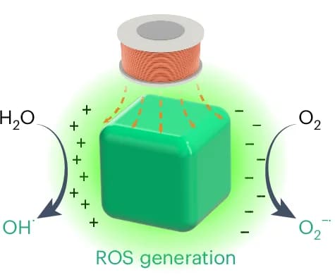 Open access visualization of Workflow, Illustration, CBCFO Nanoparticles, ROS Production, Magnetoelectric Effect