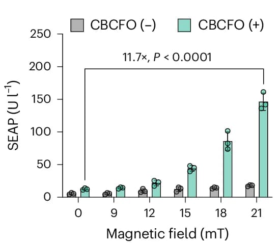 Open access visualization of Bar Plot, Error Bars, Scatter Plot, Gene Expression, Electromagnetic Field