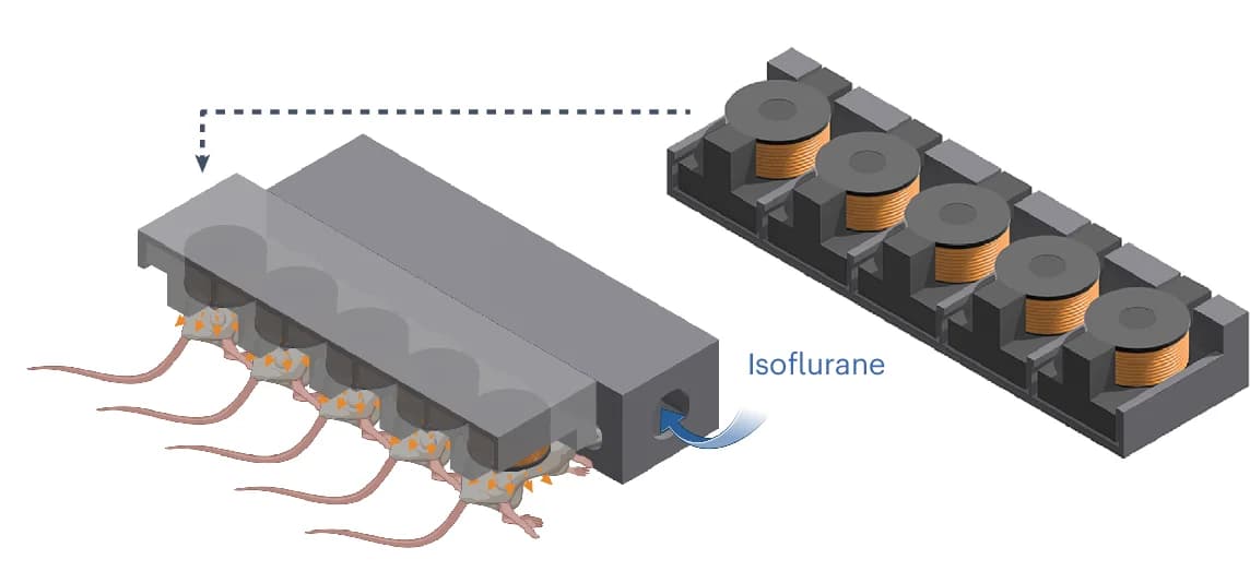 Open access visualization of Illustration, Workflow, Mice, Single-Coil Device