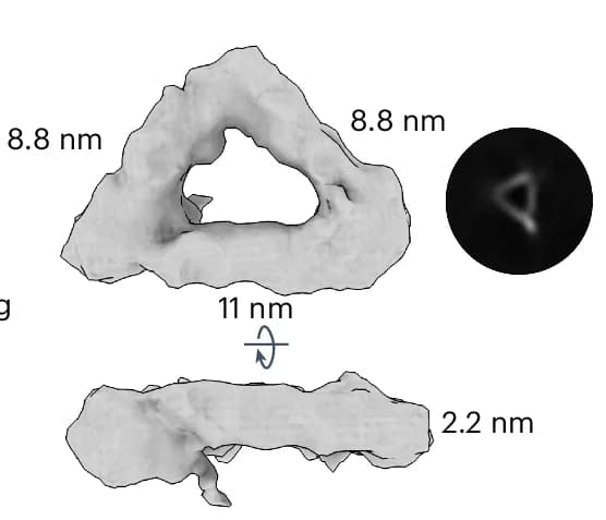 Open access visualization of Protein Structure, Microscopy, Cryo-EM, Electron Density, MEDUSA