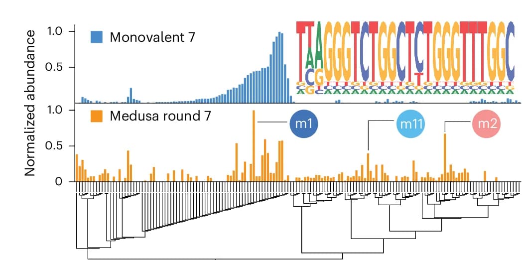 Open access visualization of Bar Plot, Clustered, Sequence Alignment, NGS Data, Selection Strategies