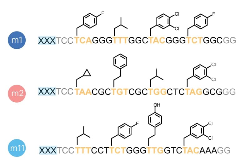 Open access visualization of Chemical Structure, FNAPs, Scaffold-Hybridization Region, Sequence, Structure