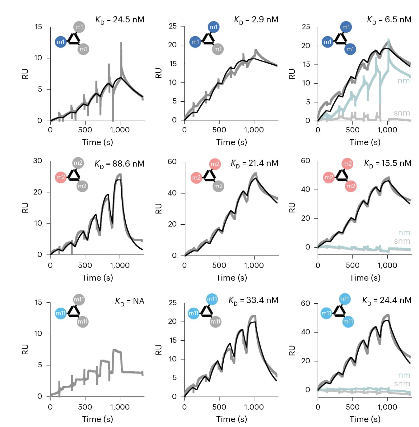Open access visualization of Line Plot, Line Step, SPR Sensorgrams, Binding Kinetics, SARS-CoV-2 Spike Protein